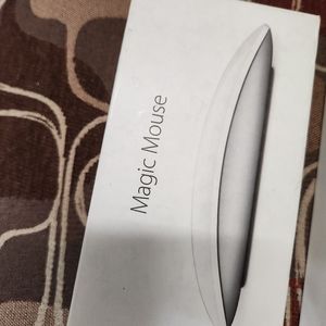 Magic mouse apple.